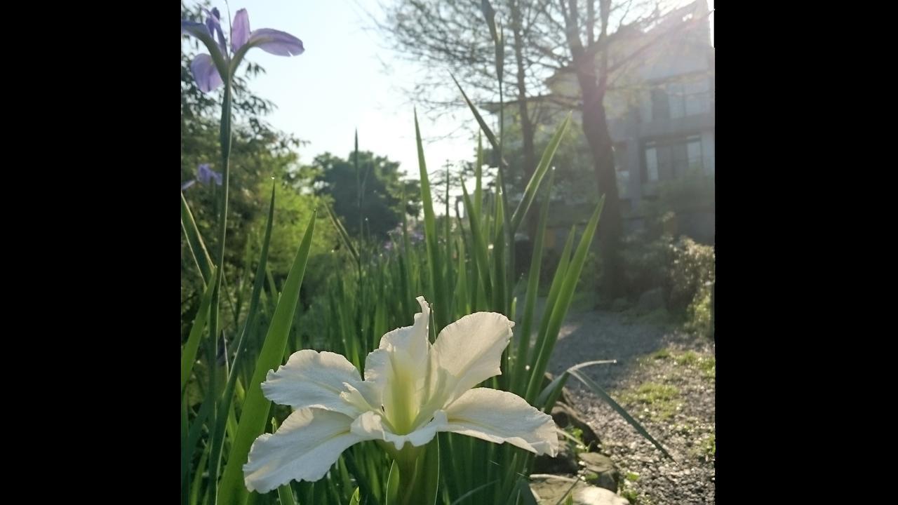 Stone House Homestay Yilan Exteriér fotografie